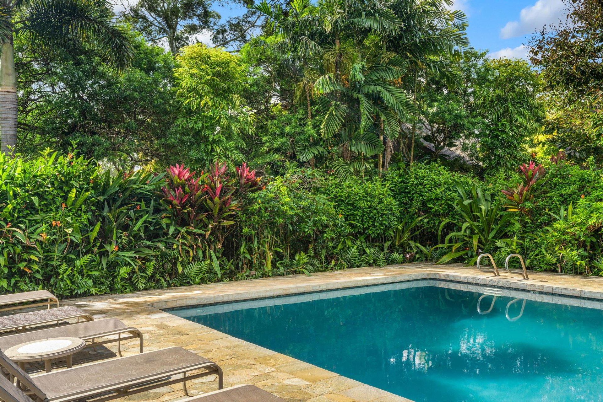 Surrounded by jungle