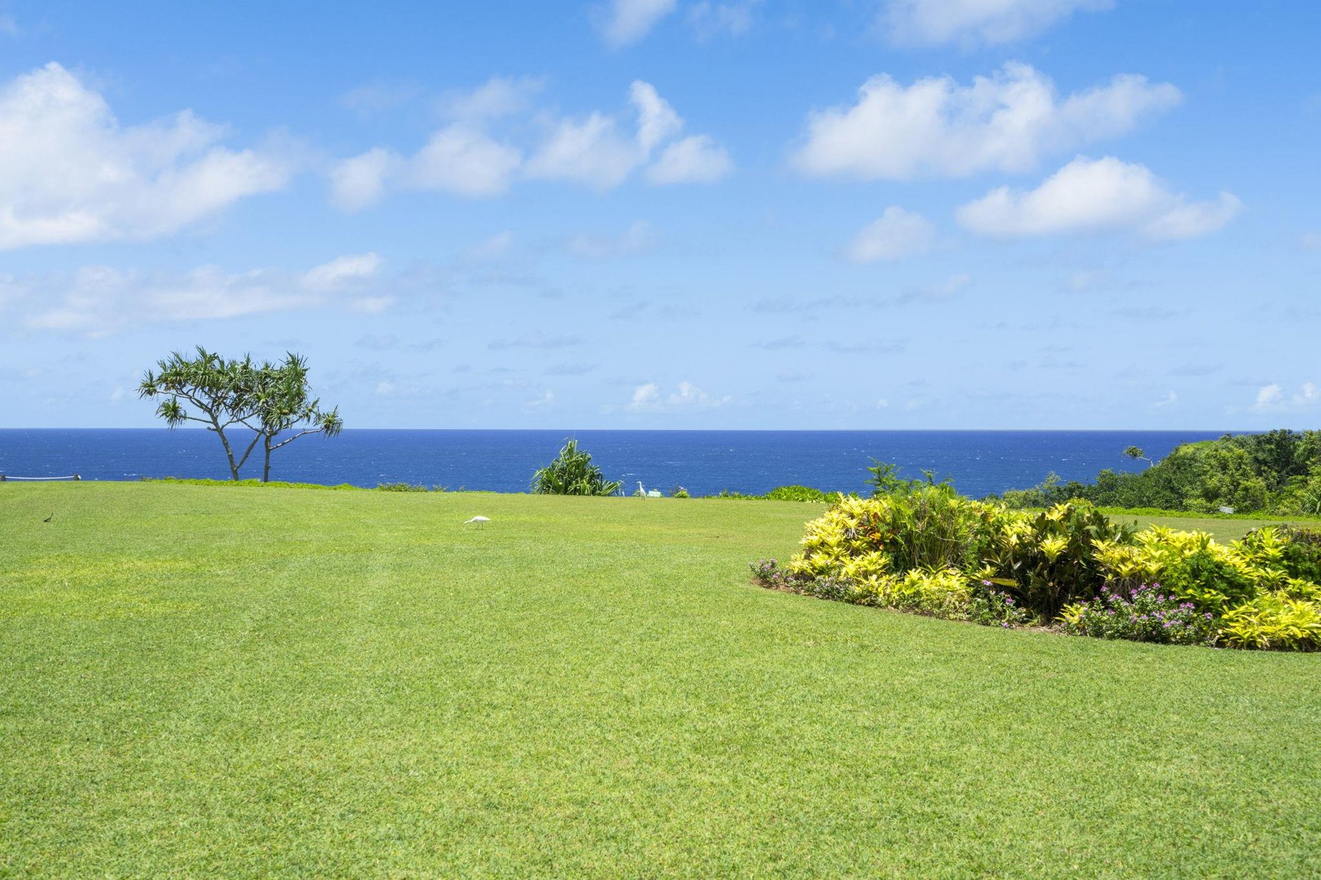 Get prime seats for sunset and whale watching