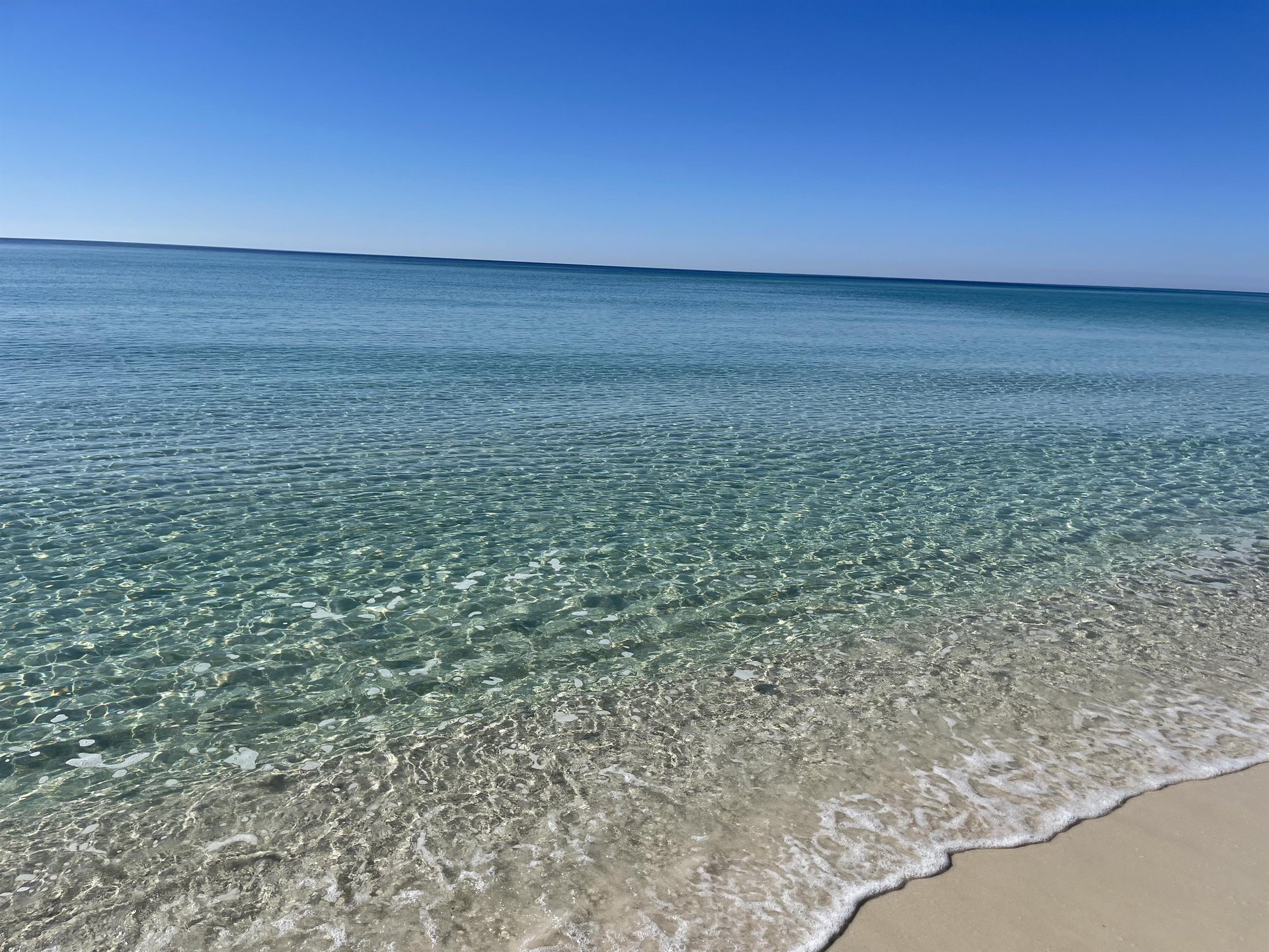 8155 Gulf Boulevard  Poseidons Rest 44