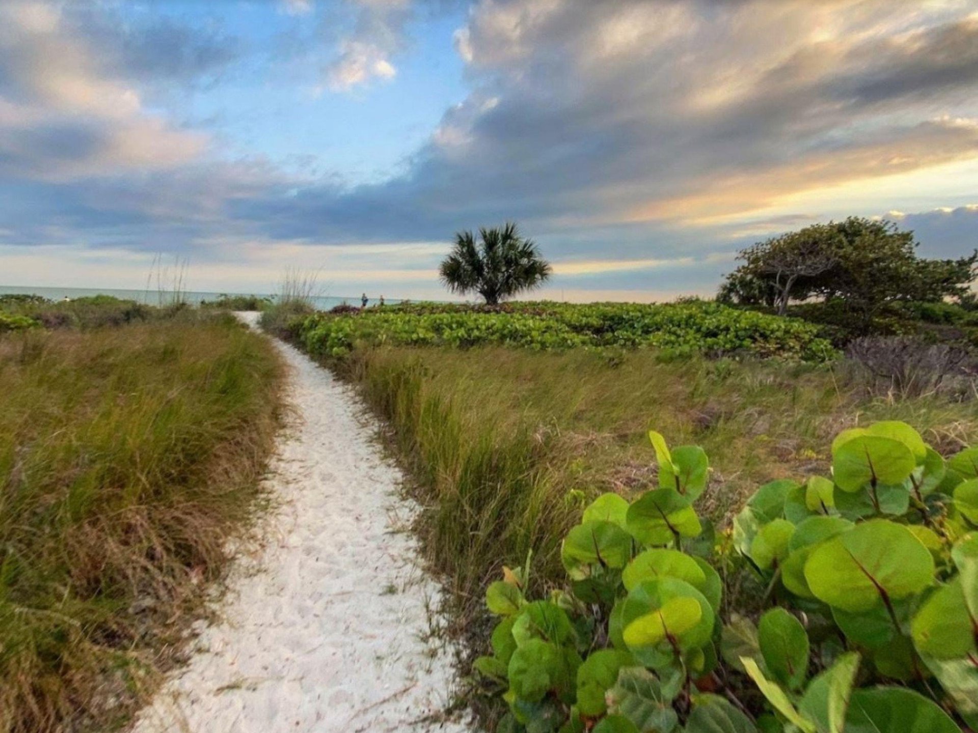 A path to the beach at Loggerhead Cay Condos in Florida