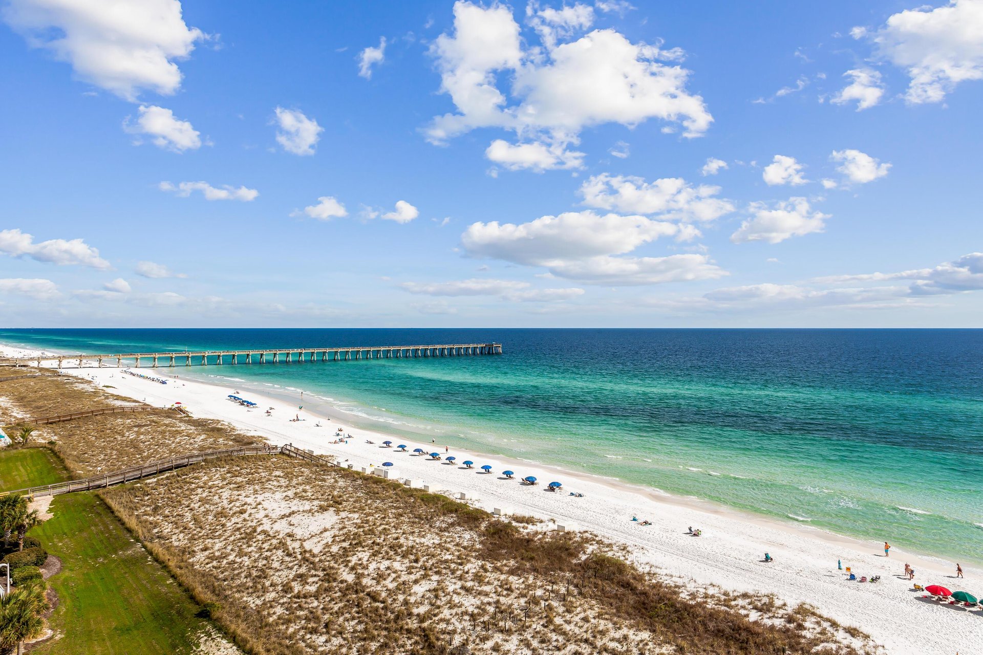 The Pearl of Navarre 804 30