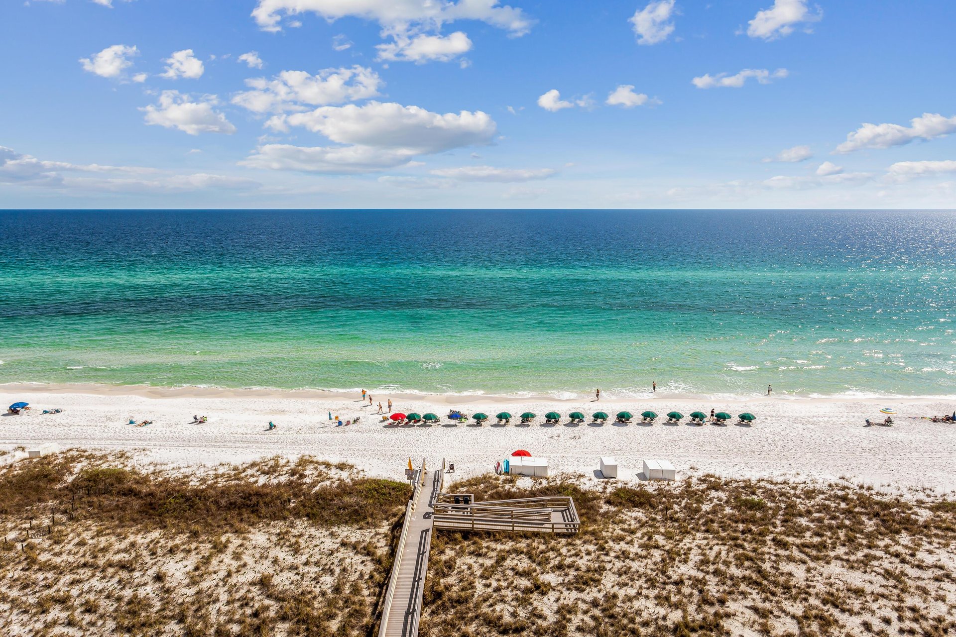 The Pearl of Navarre 804 31