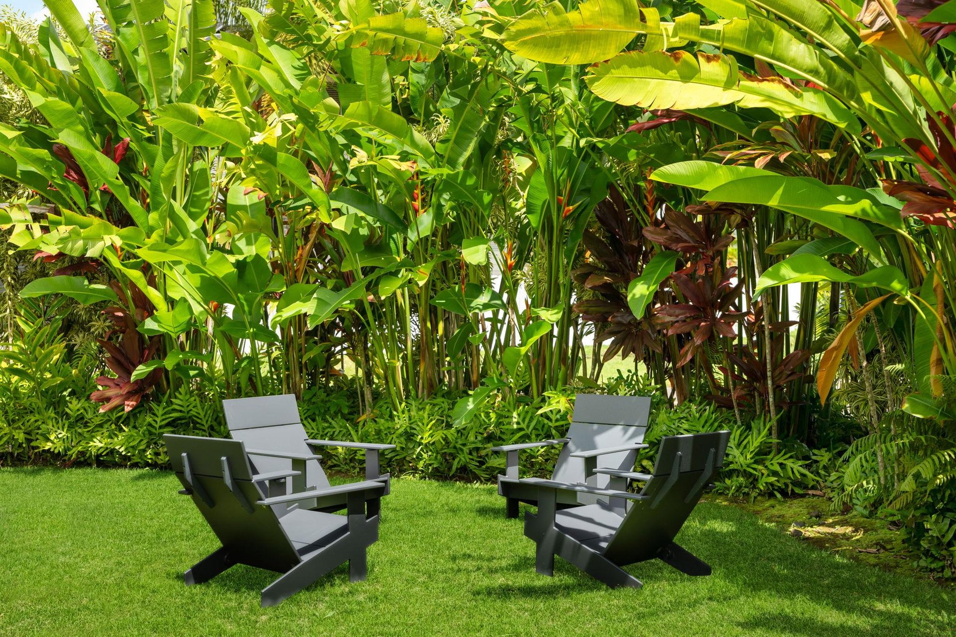 Enjoy the tropical flora