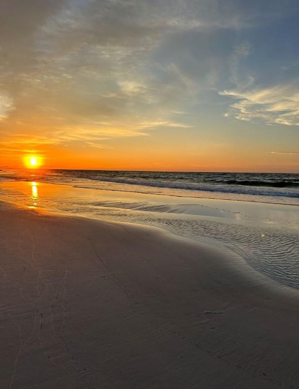 Holiday Surf and Racquet Unit 604 28