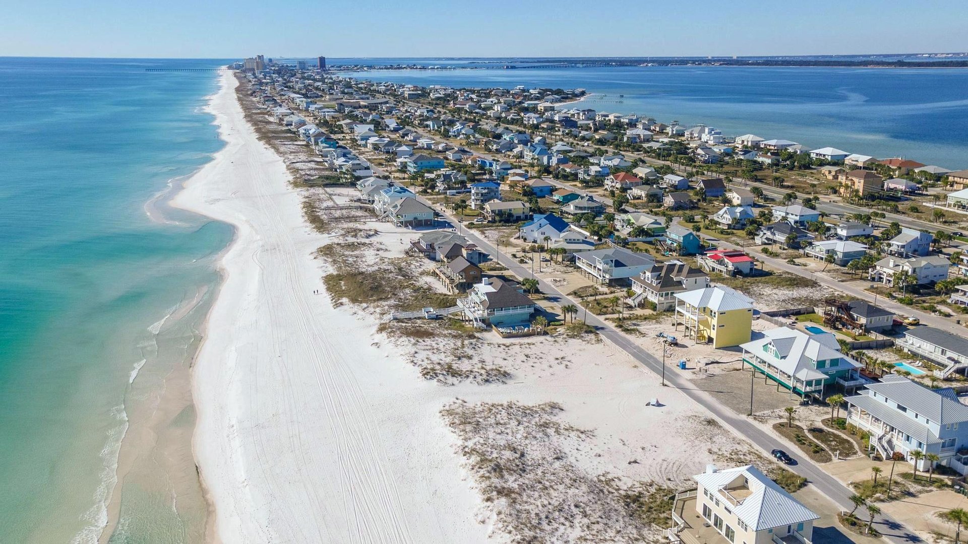 Ariola 1311  The Dolphin House 81