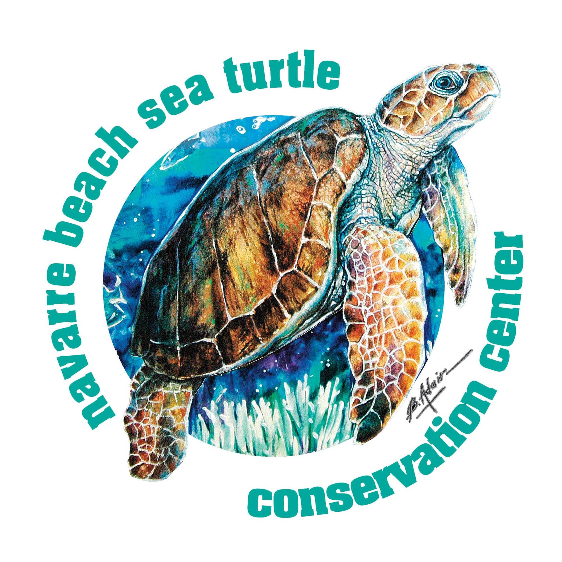 Sandcastle Beach Townhomes 10  NEW 13