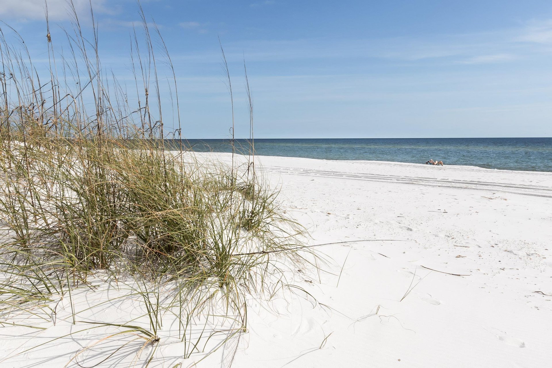 Nautilus Unit 1206 2