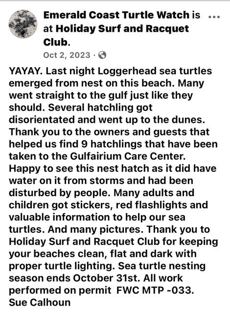 Sea Turtle Hatchling Post