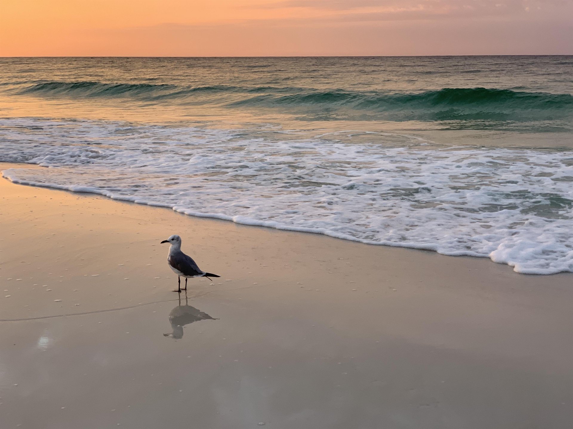 Nautilus Unit 1103 13