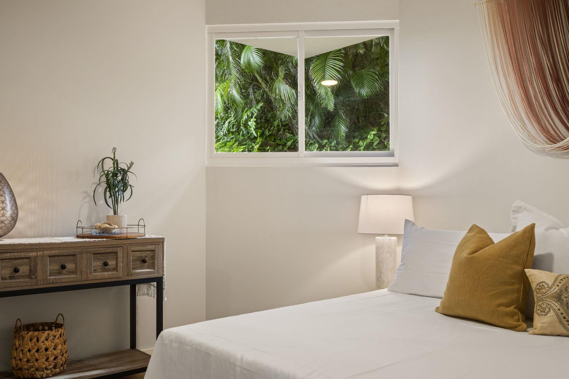 Tropical window views