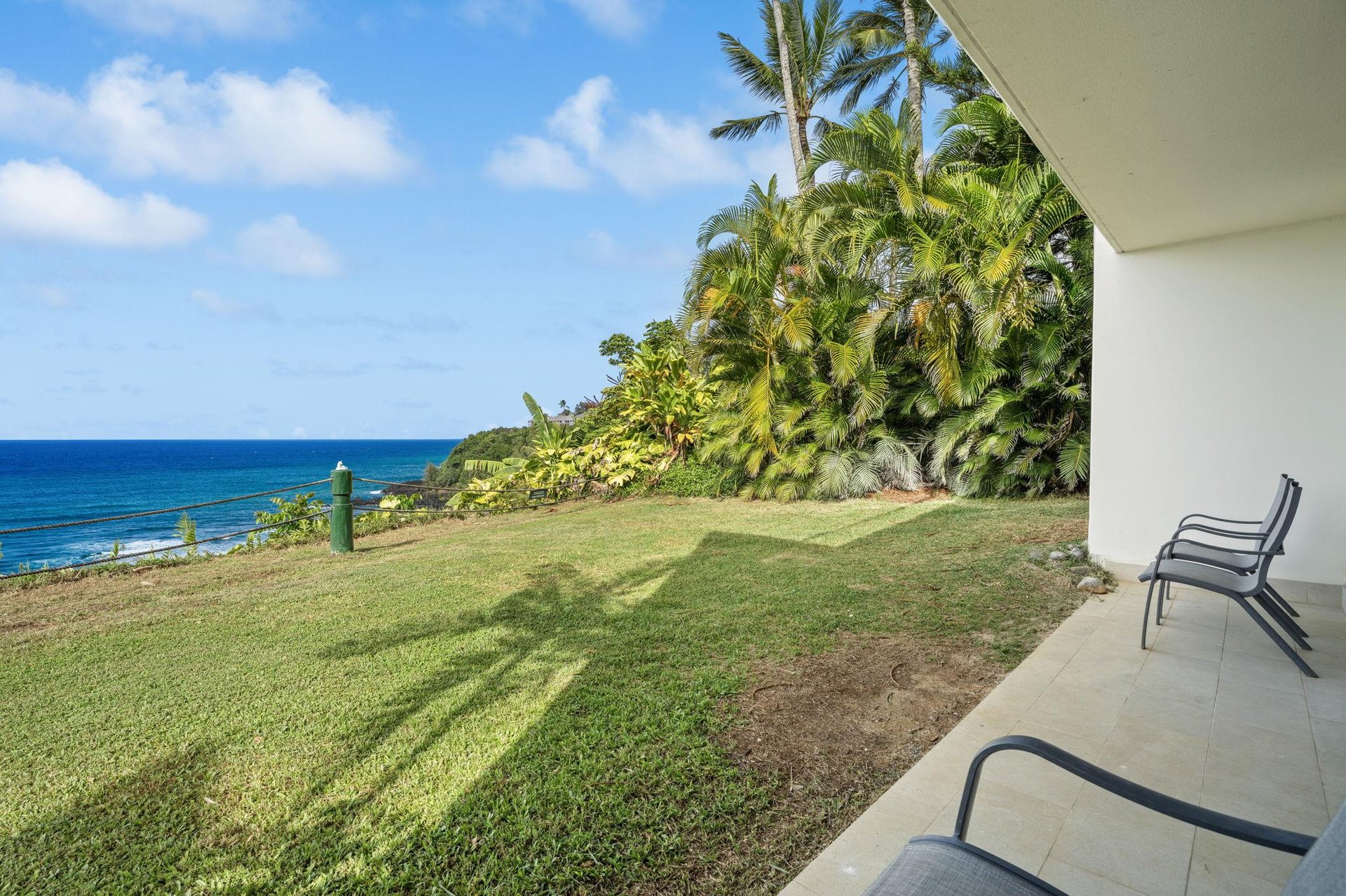 Ocean and tropical views