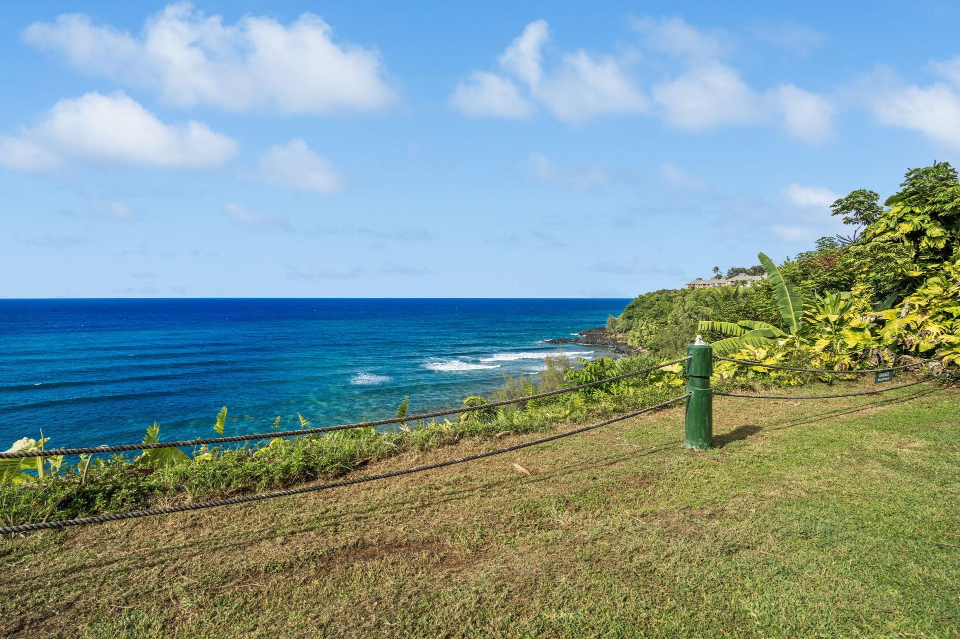 Watch the whales and dolphins