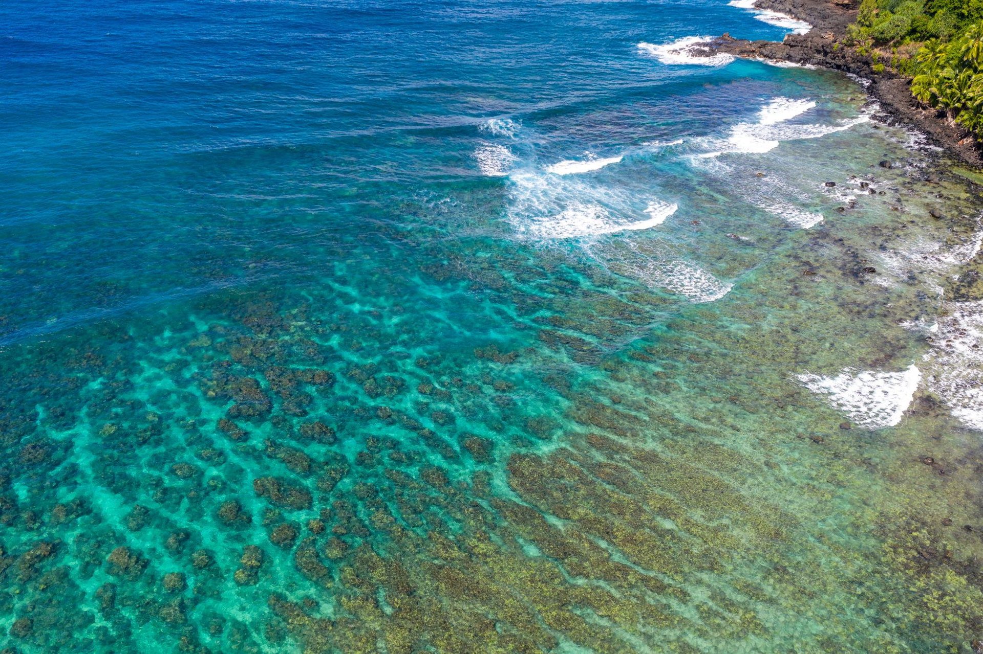 Aerial View of the reef