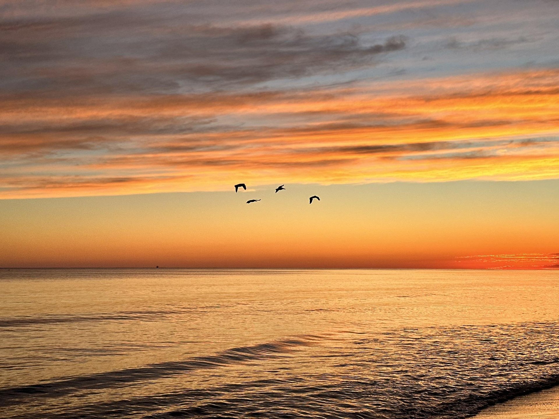 Nautilus Unit 2307 13