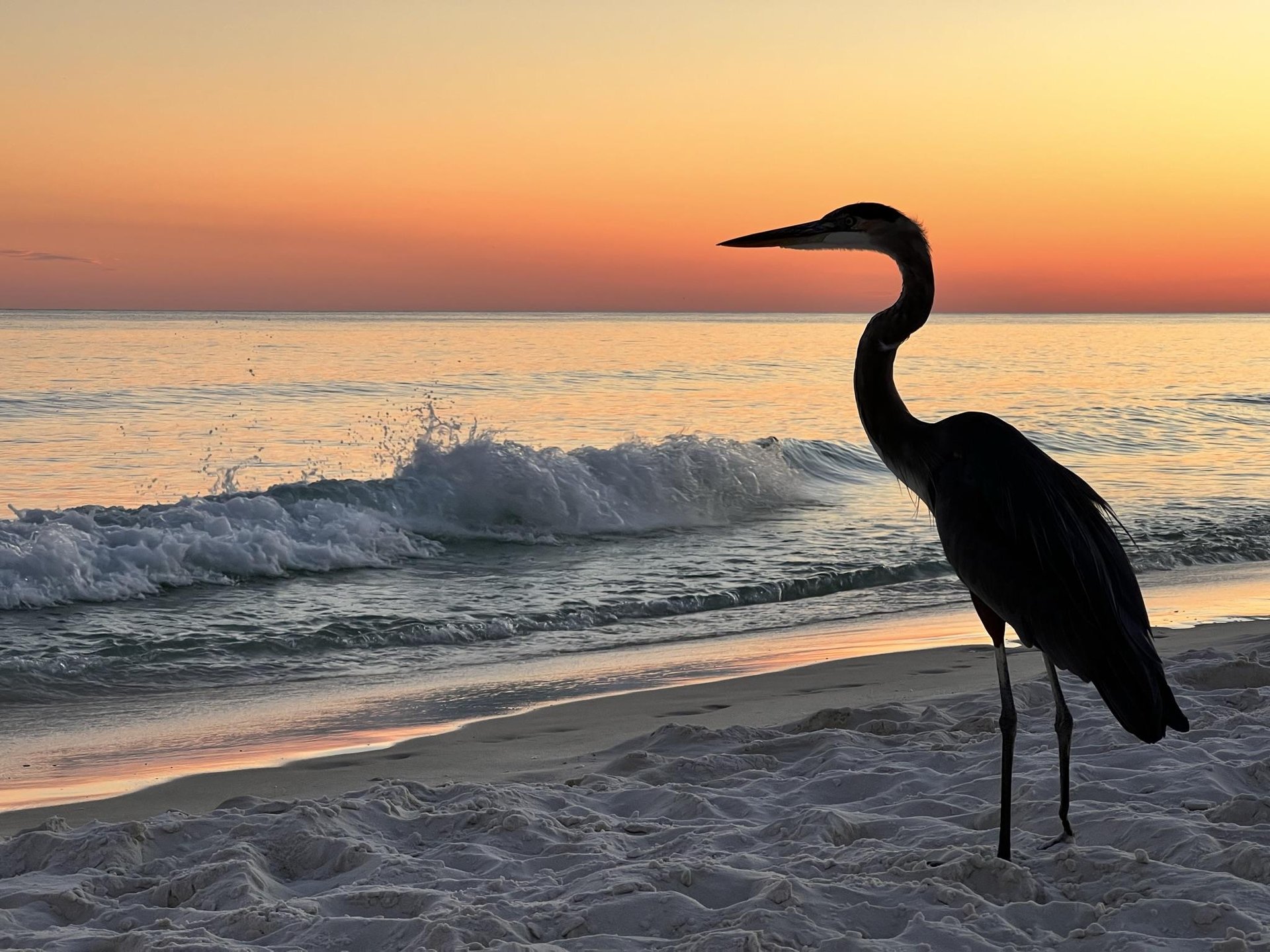 Nautilus Unit 2307 30