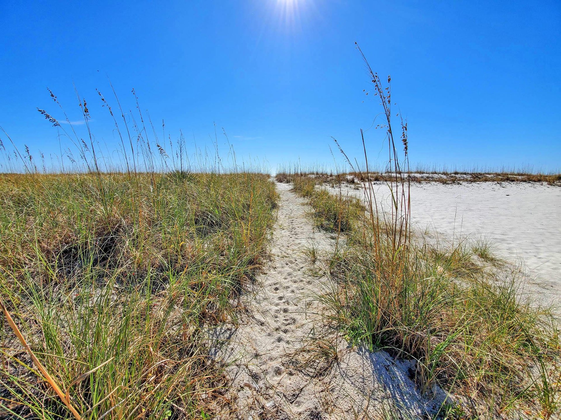 Ariola 102  The Phoenix 39