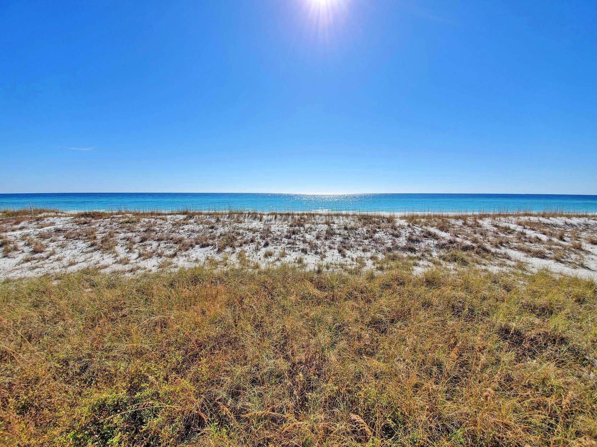 Ariola 102  The Phoenix 41