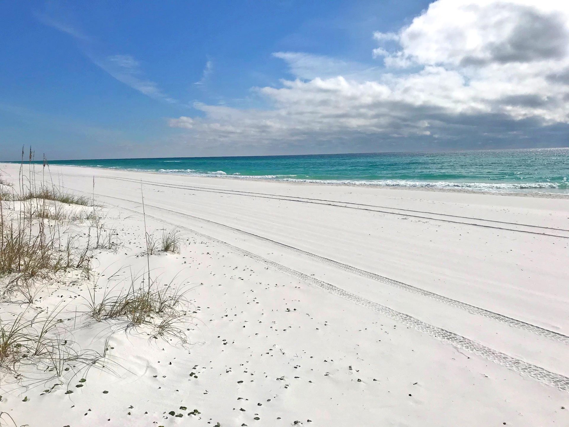 Ariola 102  The Phoenix 42