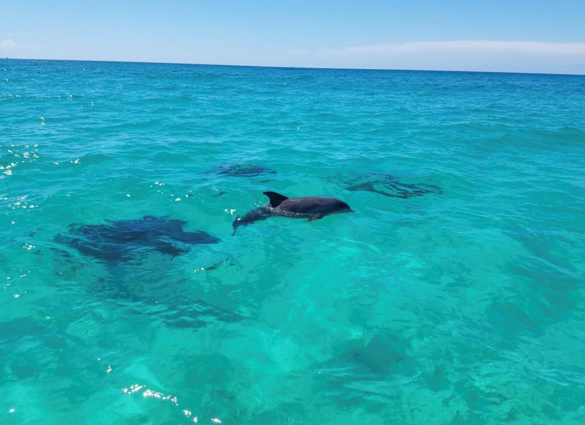 Beachside Villas 1131 38