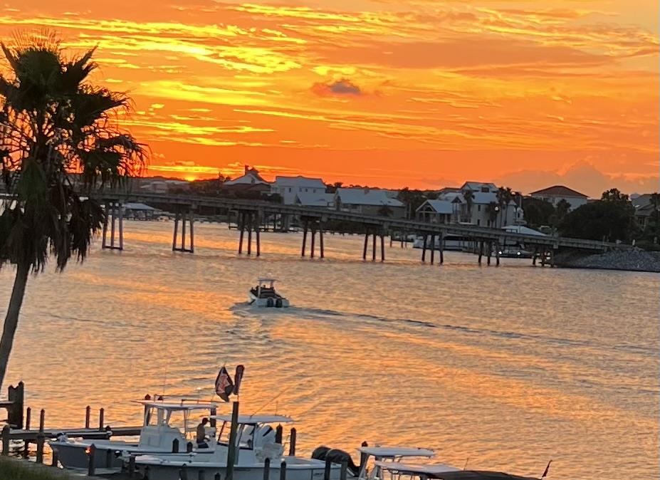 Dolphin Harbor 3H 43