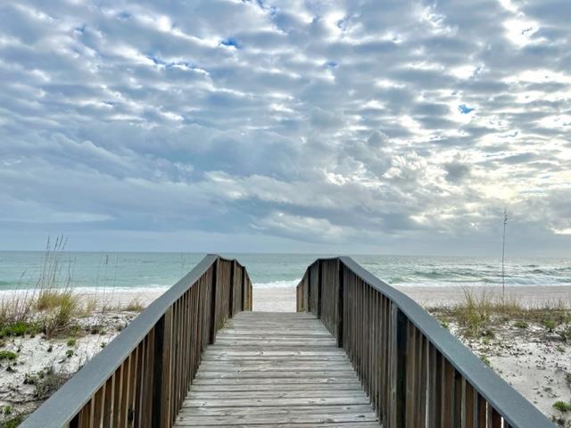 Dolphin Harbor 3H 47