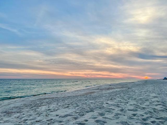 Dolphin Harbor 3H 48