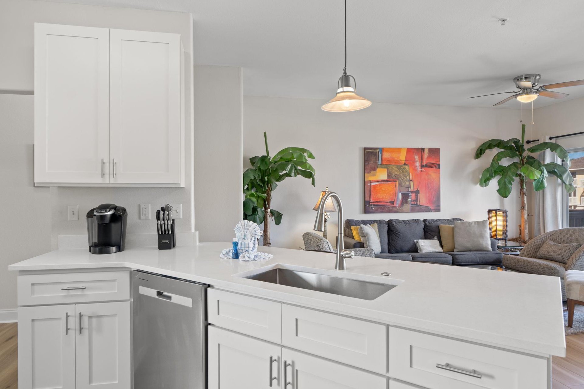 Kitchen bar and living room