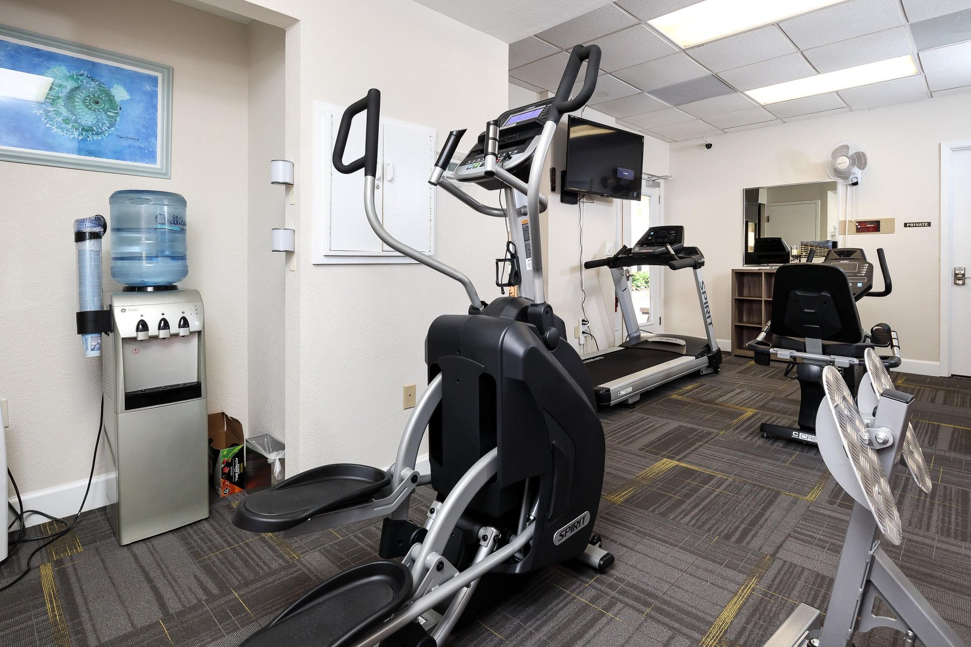 State of the art gym equipment for all your gym needs.