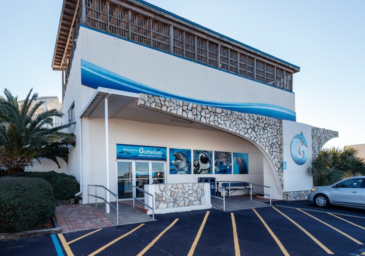 Local Area Attraction  – GULFARIUM