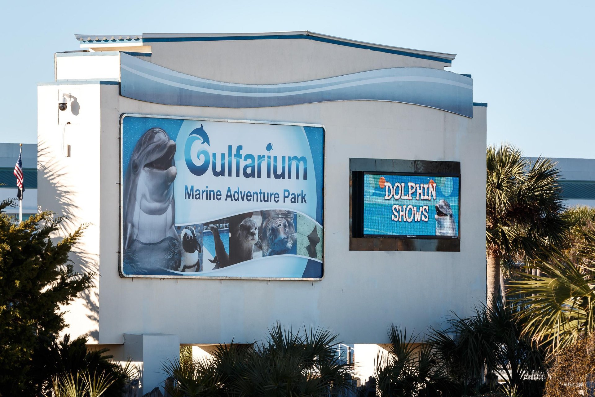 Interact with Dolphins...kids will love the show