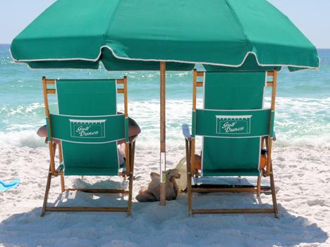 Complimentary beach service included daily