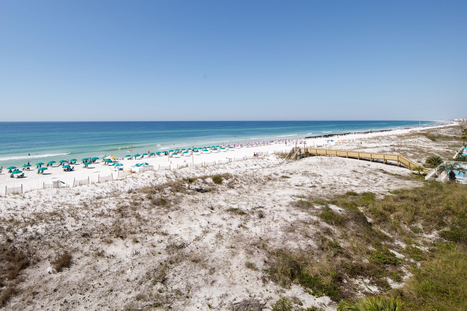 So much to see on the beach  You can also enjoy our complimentary beach service.