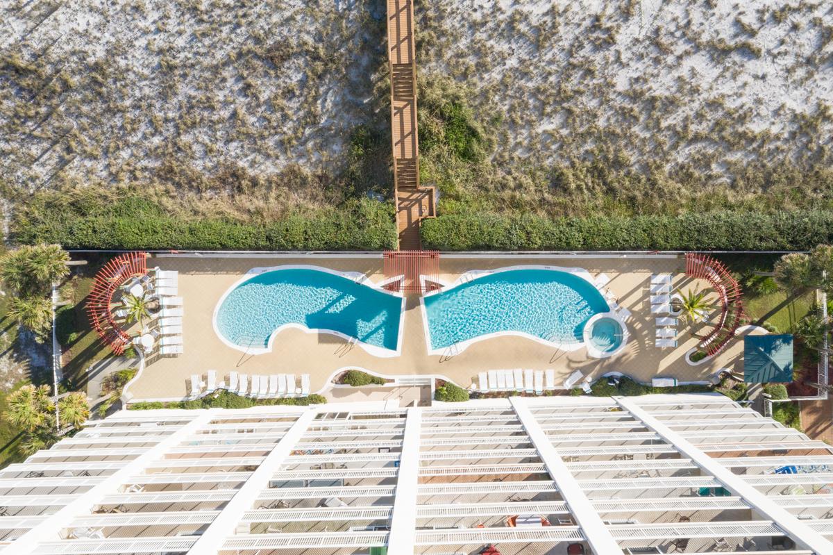 The Pearl of Navarre 1706 40