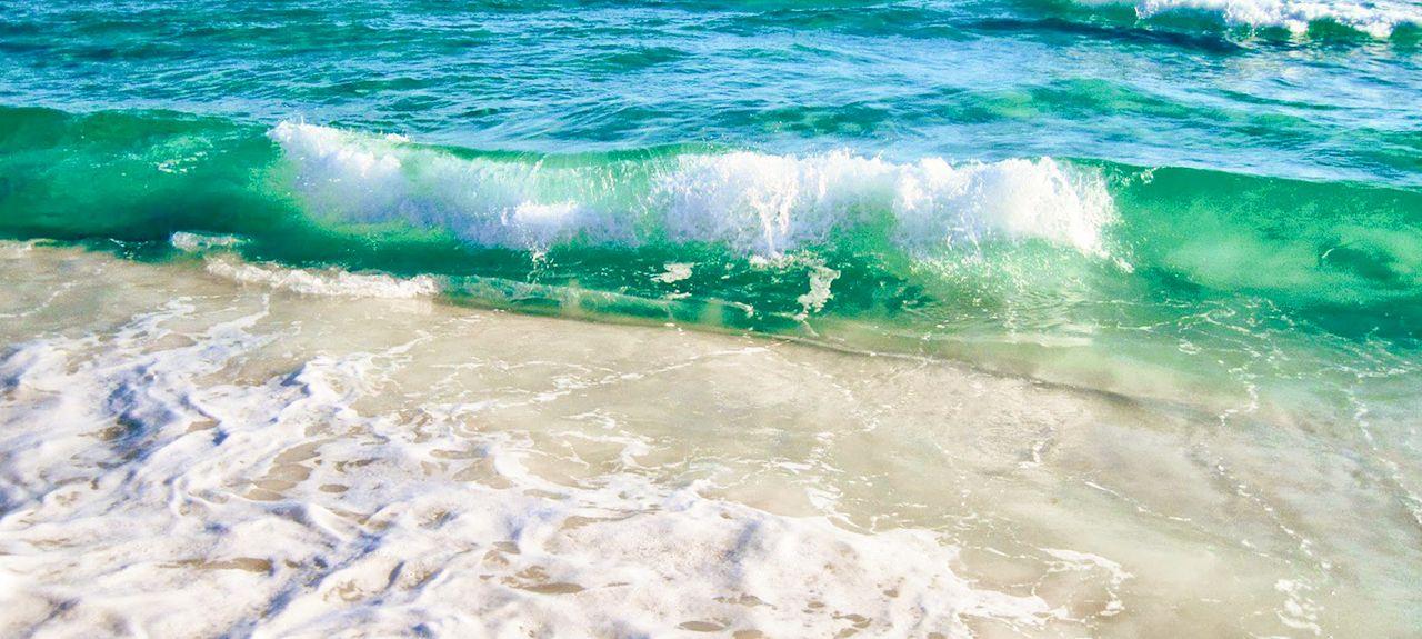 Holiday Surf and Racquet Unit 519 2