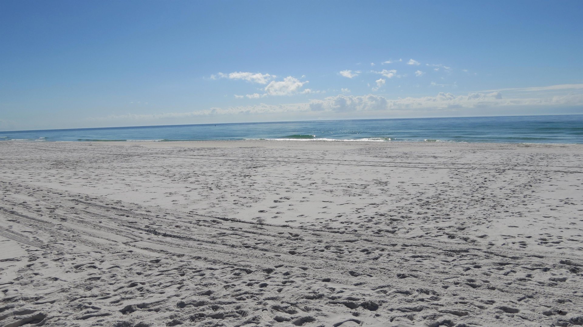 Fins to the Right 39