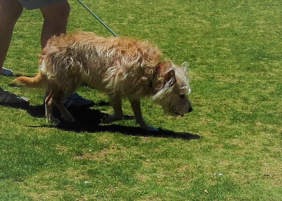 Fins to the Right 40