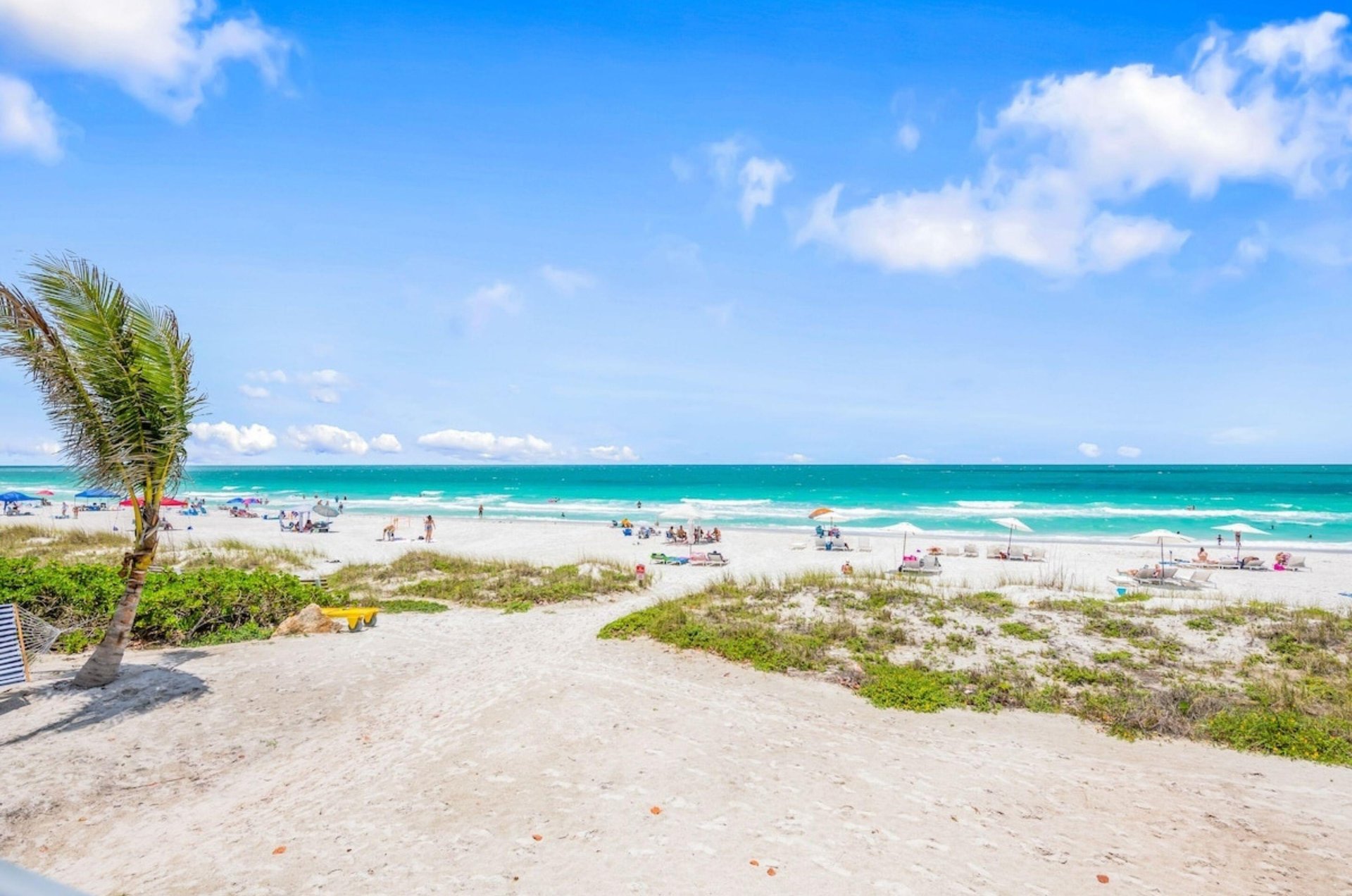 A pathway leading to the beach