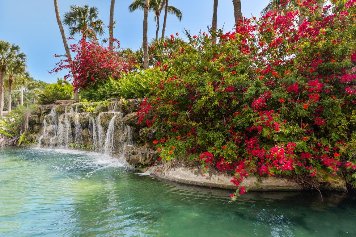 Tropical paradise features cascading waterfalls, vibrant bougainvillea, and crystalclear lagoon waters surrounded by swaying palms.