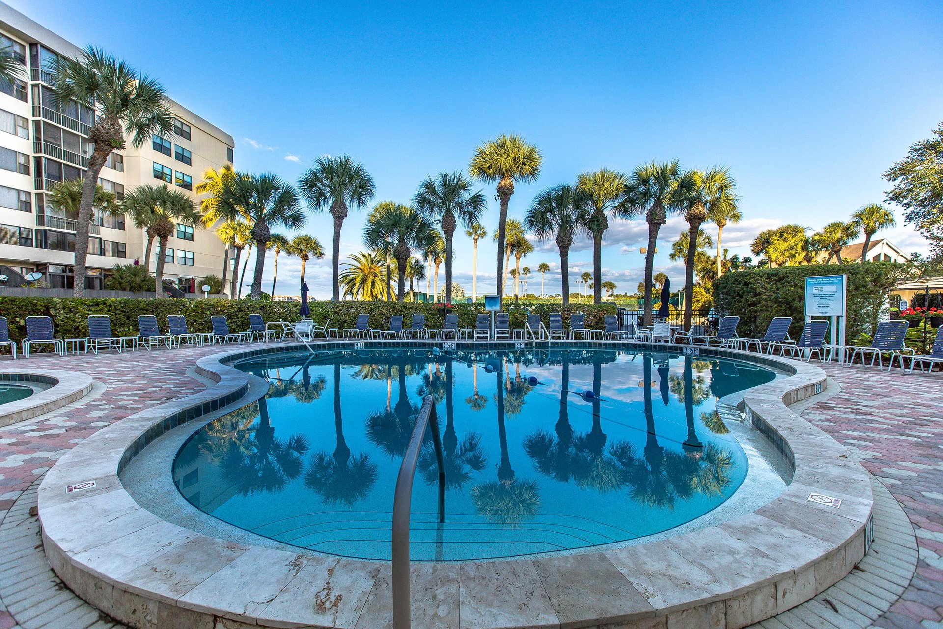 Property pool area surrounded by palm trees and lounge chairs under Floridas clear blue sky.