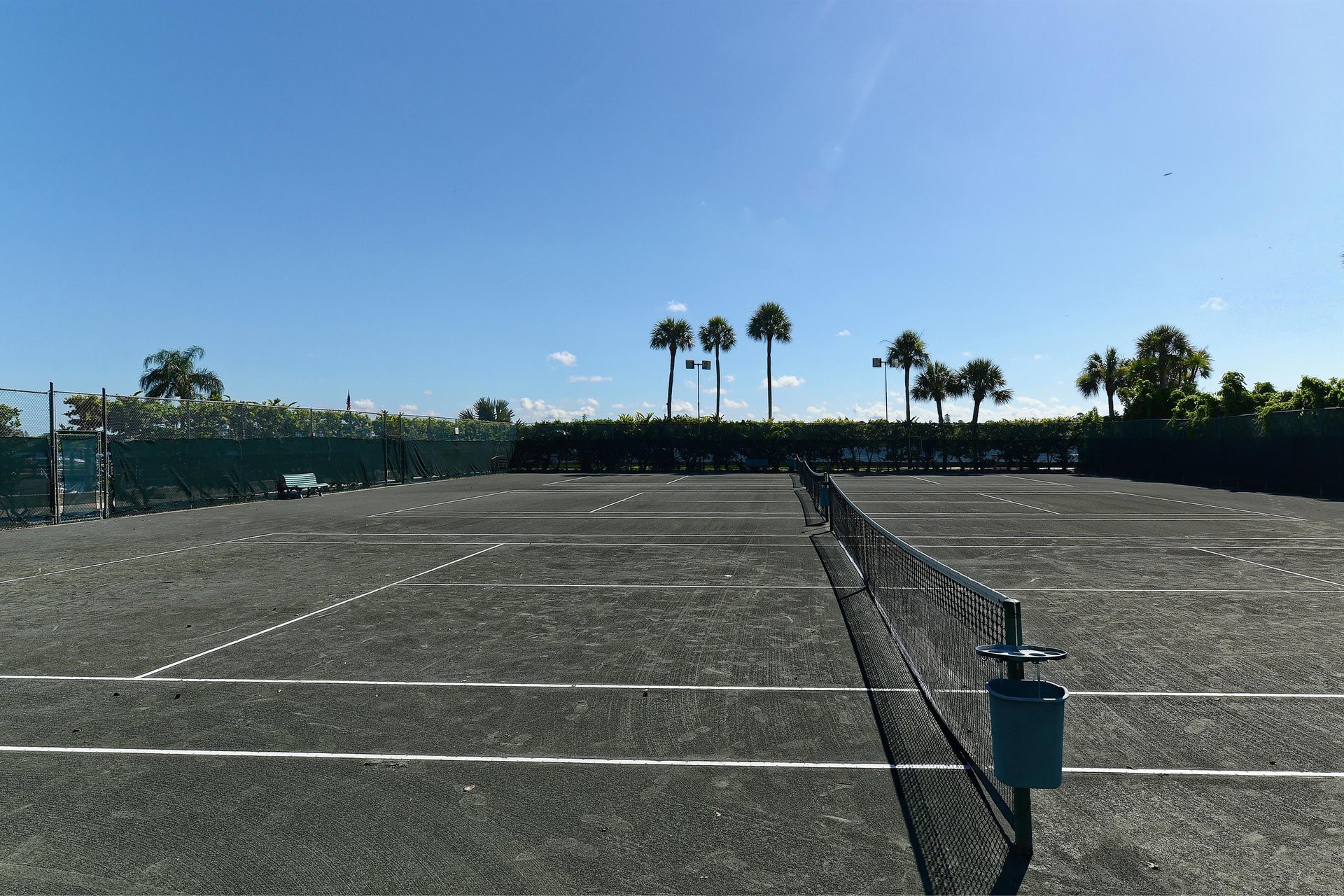 Professional tennis courts surrounded by swaying palm trees under clear blue skies create the perfect tropical sports setting.