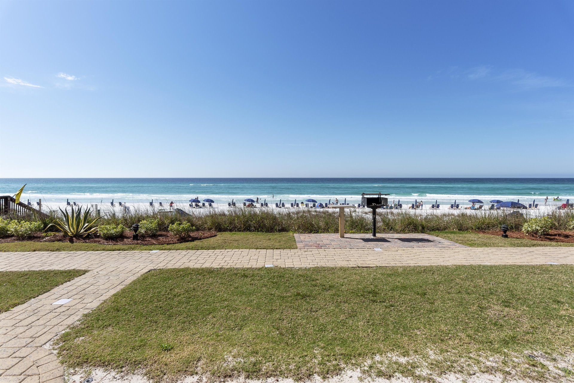 Coral Reef Club 02 20