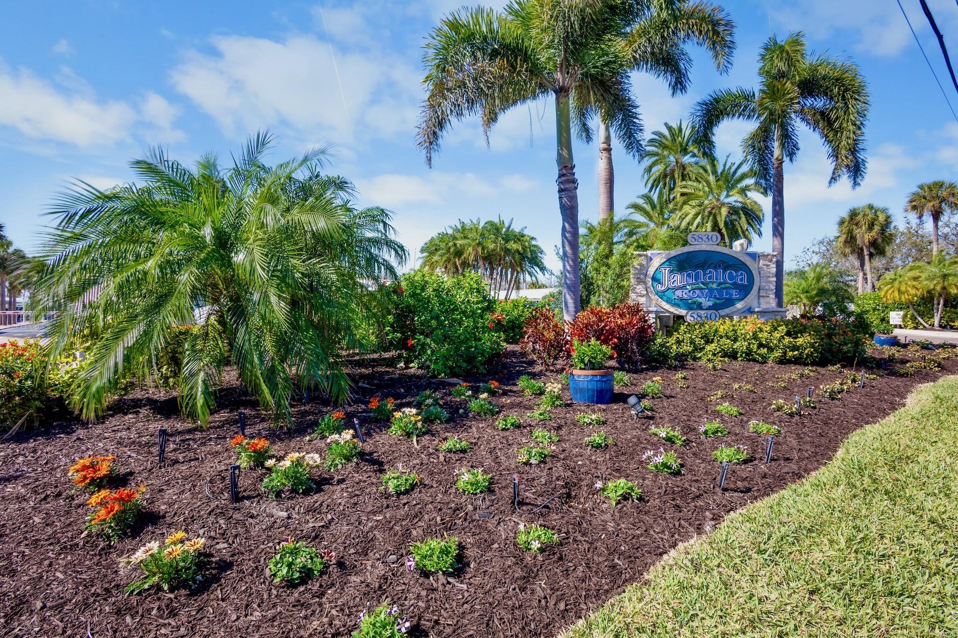 Jamaica Royale  Tropical Sands Accommodations