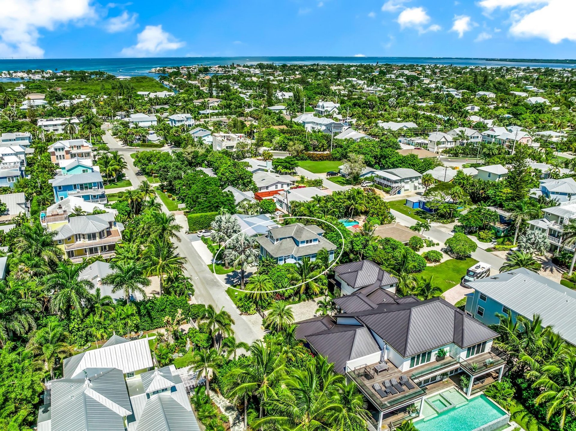 Starfish by Anna Maria Vacations