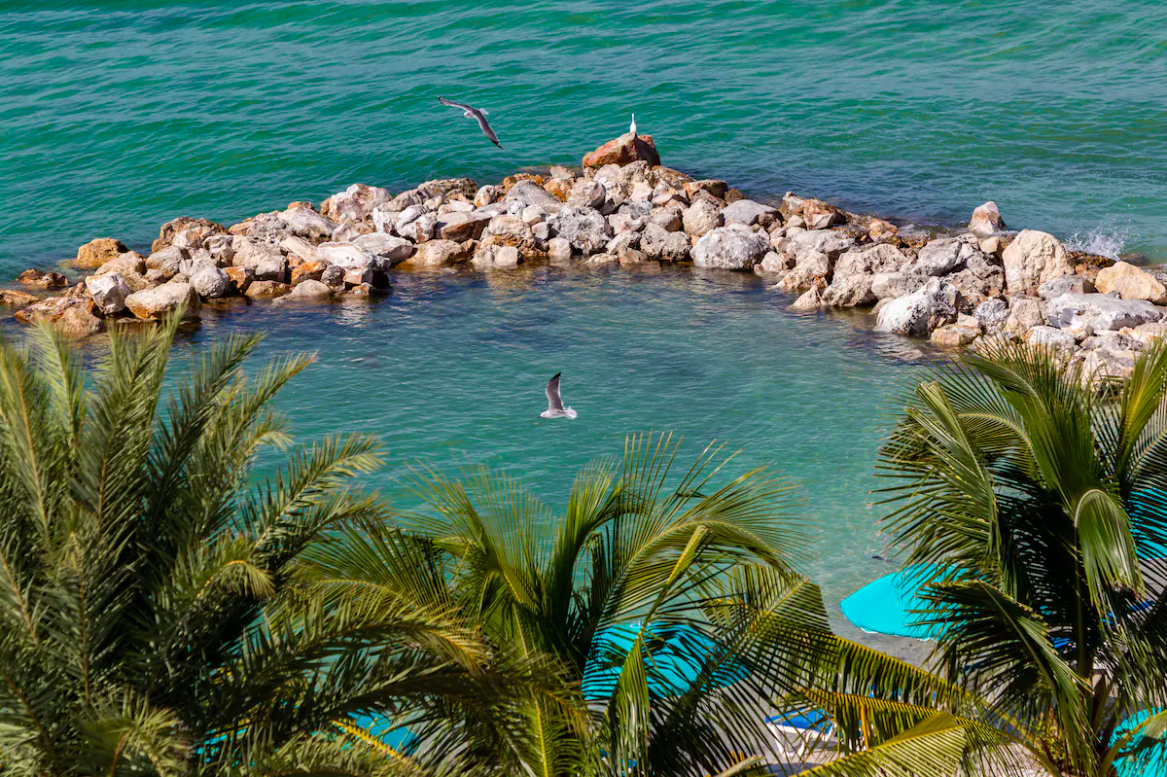 Shephards Beach Resort in Clearwater Beach, Florida