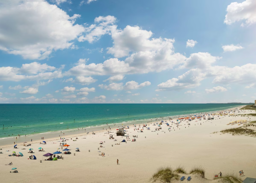 Beach view at Hilton Clearwater Beach Resort  Spa