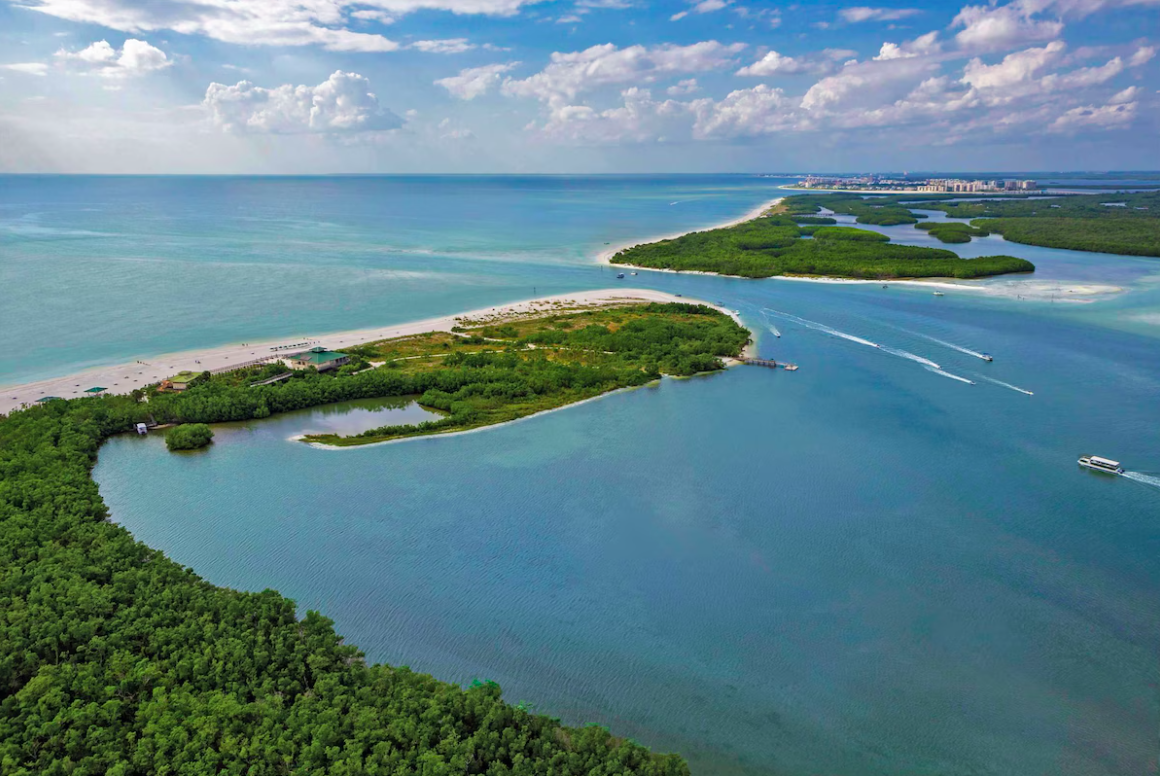 Hyatt Regency Coconut Point Resort  Spa