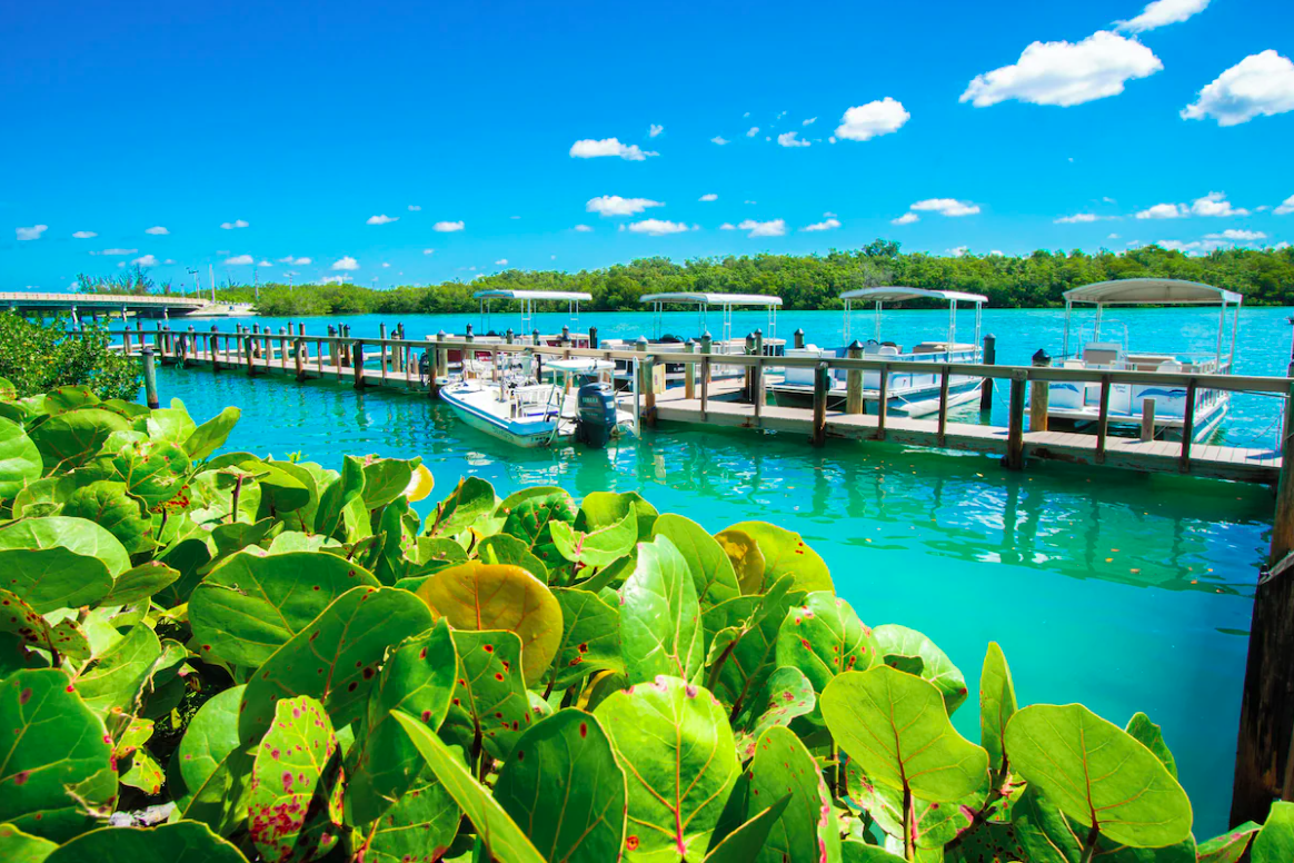 Bonita Resort and Club