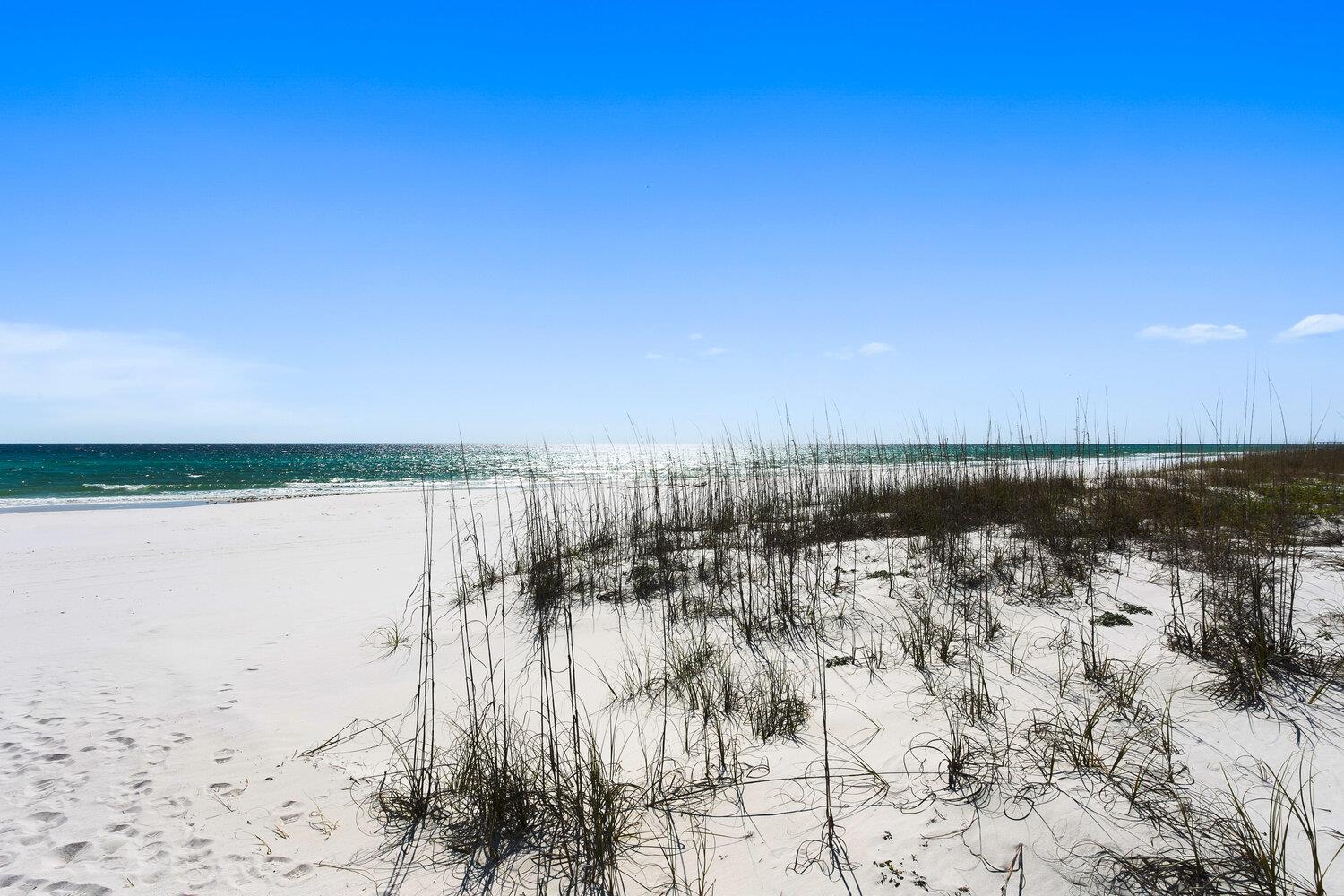 Ariola 1205  Sea Turtle Retreat 81