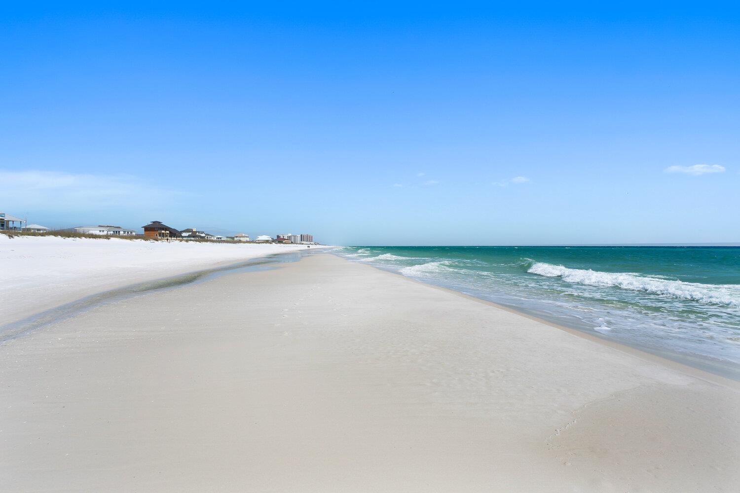 Ariola 1205  Sea Turtle Retreat 82