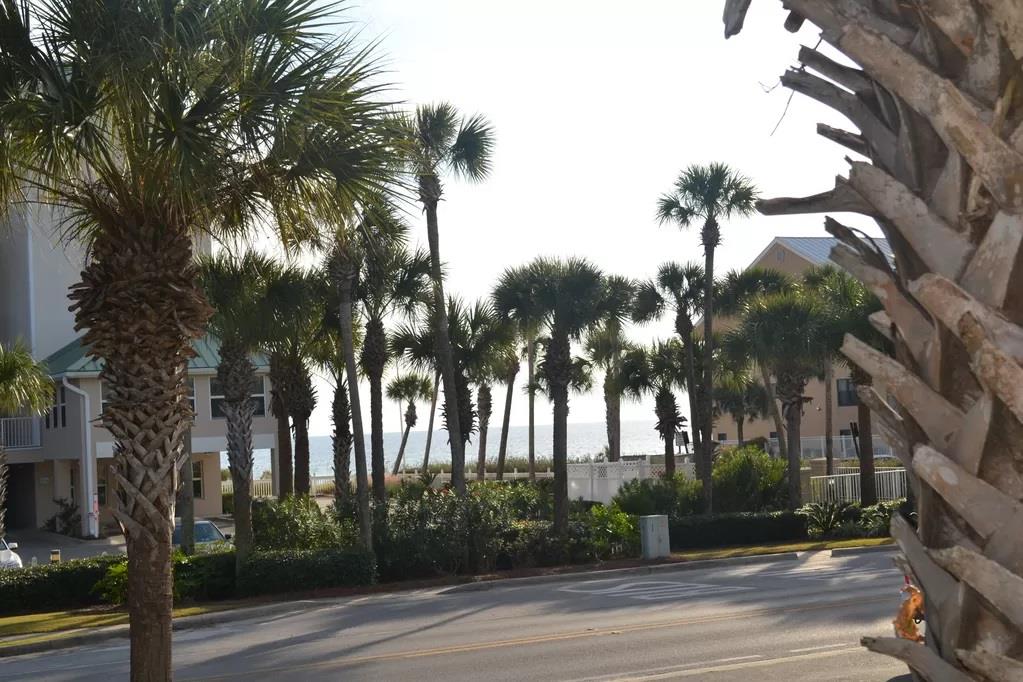 Caribbean Dunes 106 11